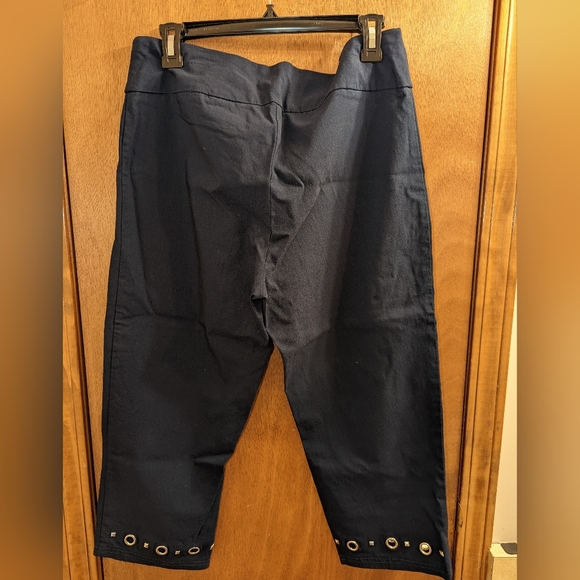 Zac & Rachel Navy Capri Pants - Picture 2 of 4